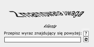 Tradycyjna captcha